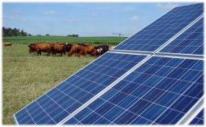 50-kW-Solar-Installation-Bardwell-Kentucky-300x186